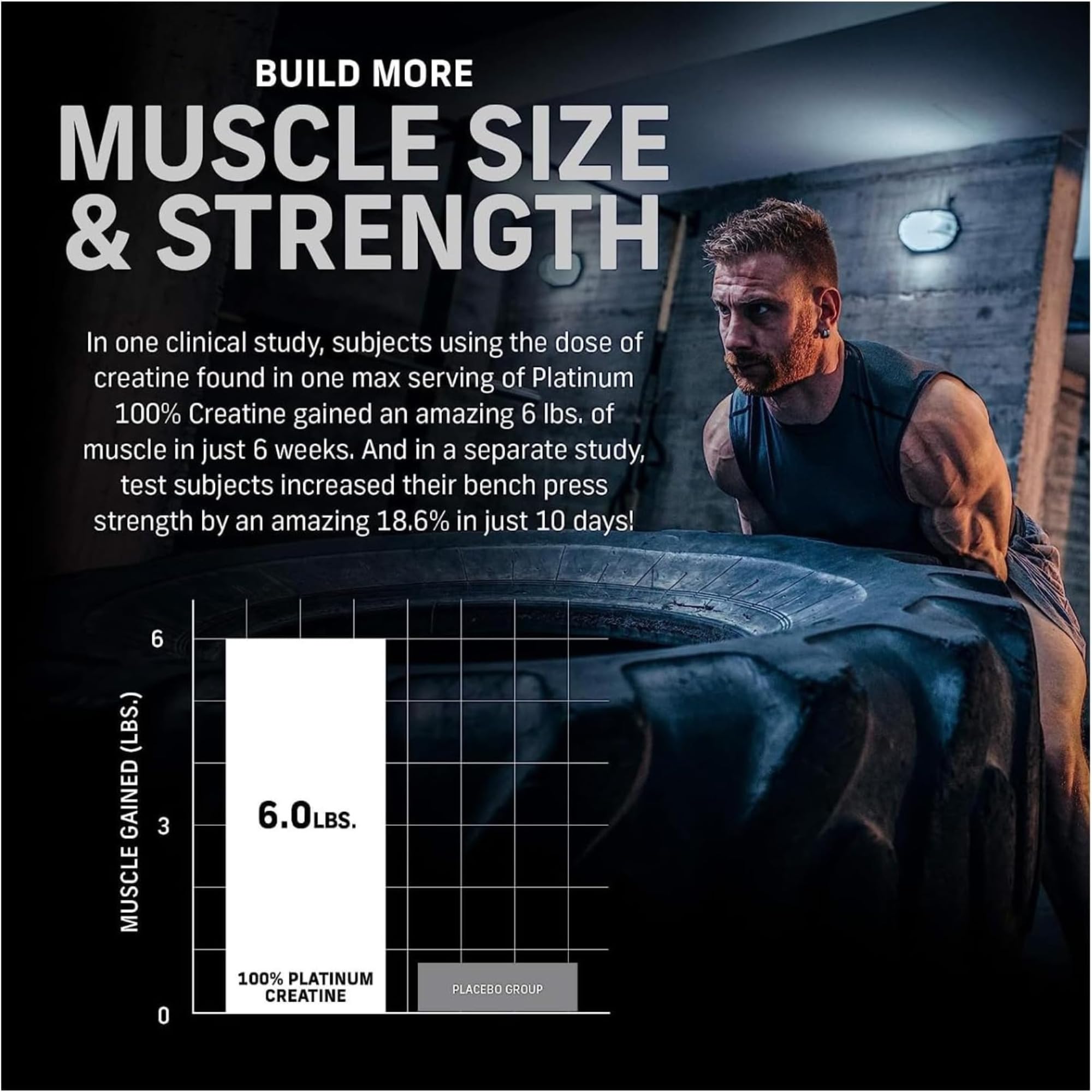 Muscletech creatine monohydrate powder UAE ad with muscular man flipping tire and chart showing six pounds muscle gain
