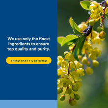 Natural Factors quality panel with third party certified badge