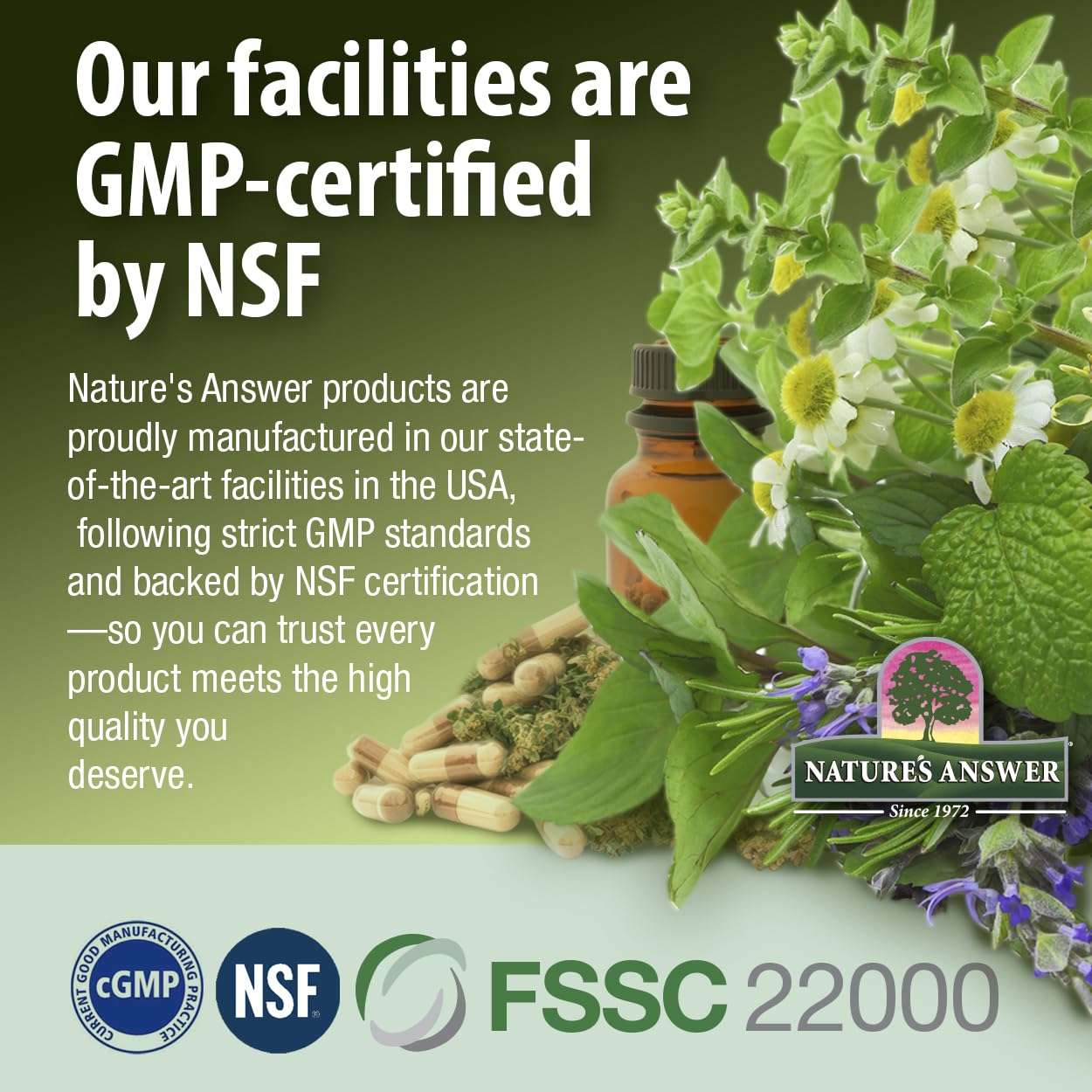 Natures Answer alcohol-free propolis extract bottle with herbs capsules and GMP certified NSF logos