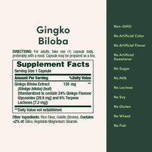 Ginkgo Biloba supplement facts panel with serving size and ingredients list