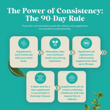 Magnesium supplement infographic with '90-Day Rule' and six informational cards