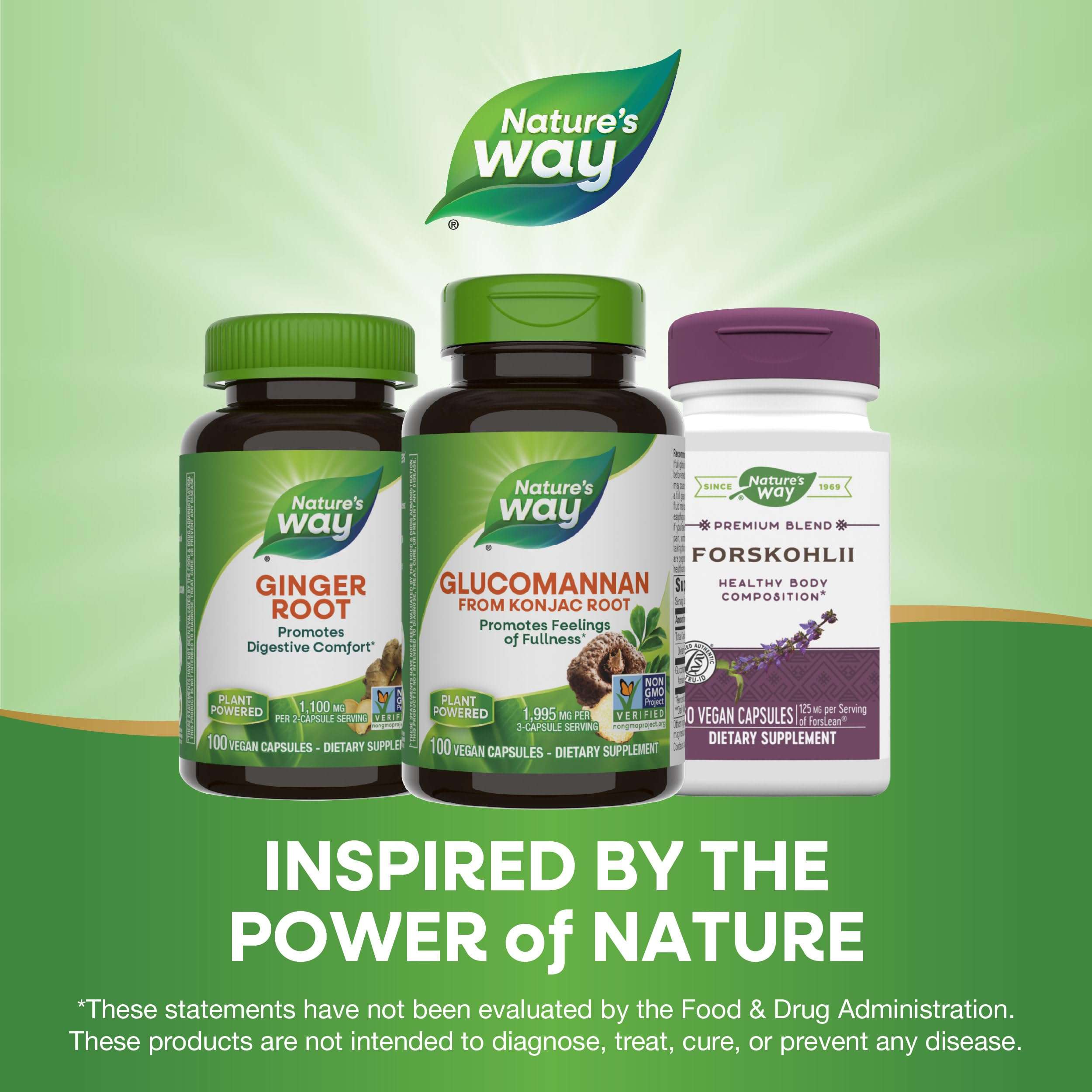 Natures Way supplement bottles showing glucomannan konjac ginger root and forskohli glucomannan supplements UAE