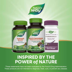 Natures Way supplement bottles showing glucomannan konjac ginger root and forskohli glucomannan supplements UAE