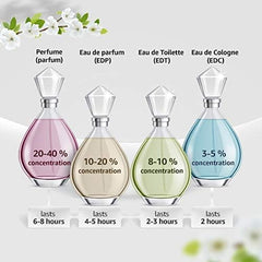 Diagram showing perfume concentration and lasting time for Nautica Voyage long lasting scent types