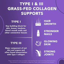 Type I & III grass-fed collagen supports infographic with hair, nails, skin icons.