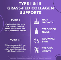 Type I and III grass fed collagen infographic benefits for hair skin and joints collagen peptides powder for skin and joints