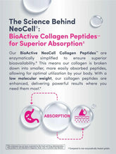 Neocell collagen peptides absorption infographic with droplet icons and absorption diagram