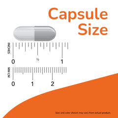 NOW C-1000 and zinc immune support supplement capsule size graphic showing a single white capsule over inch and mm rulers