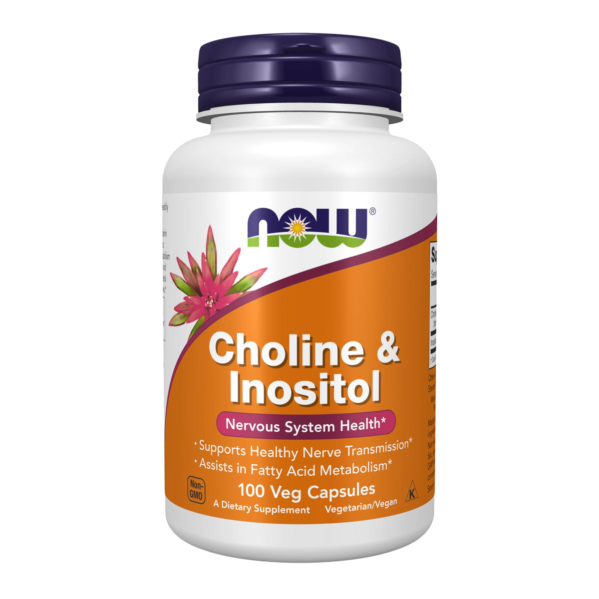 NOW Choline and Inositol supplements UAE 100 Veg Capsules bottle for nervous system health