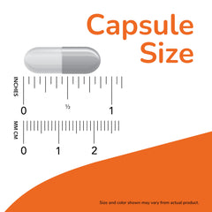 NOW capsule size infographic showing gray capsule over inch and mm rulers with orange design choline and inositol supplements UAE