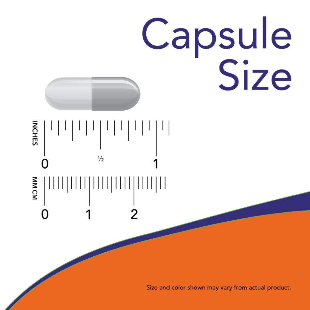 EGCG green tea extract supplement capsule size diagram showing gray capsule with inch and mm rulers