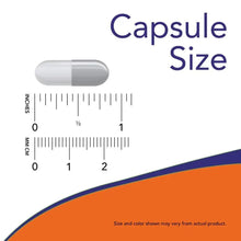 EGCG capsule size diagram with measured capsule shape