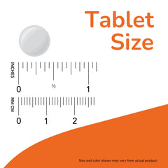 Now Foods Vitamin B1 supplement white round tablet shown next to inch and cm rulers indicating tablet size with orange label