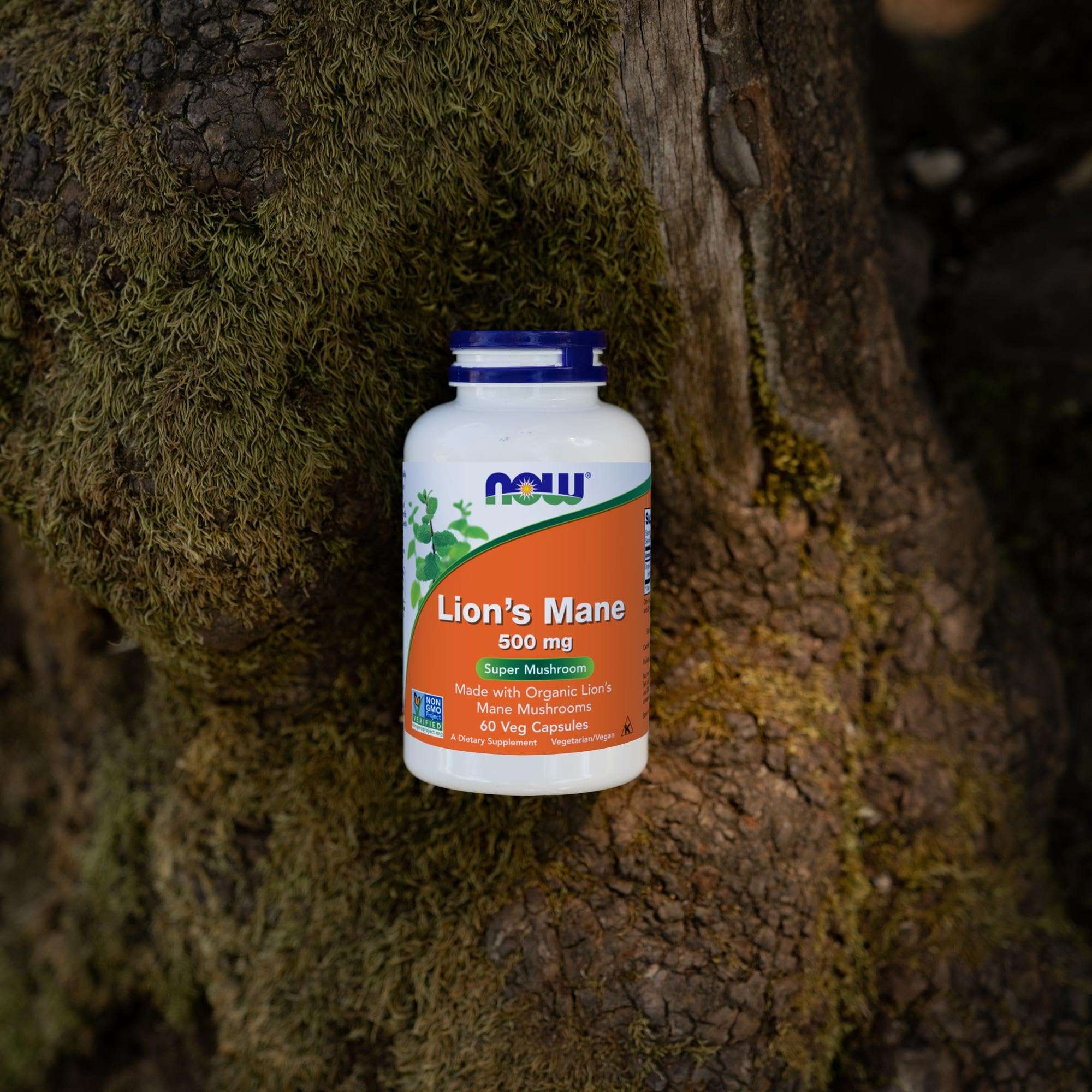 NOW bottle of Lion's Mane mushroom supplement 500 mg white plastic bottle on mossy tree bark background