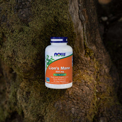 NOW bottle of Lion's Mane mushroom supplement 500 mg white plastic bottle on mossy tree bark background