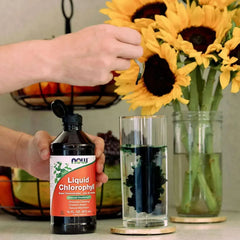 NOW Foods Liquid Chlorophyll Mint Flavor - 16 Fl Oz - Mumzar