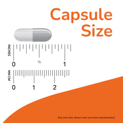 Maca 500mg capsules UAE NOW herbal supplement capsule size diagram with rulers showing dimensions
