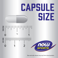 NOW ZMA sports recovery capsules single gray capsule shown with inch and cm rulers and NOW Sports logo