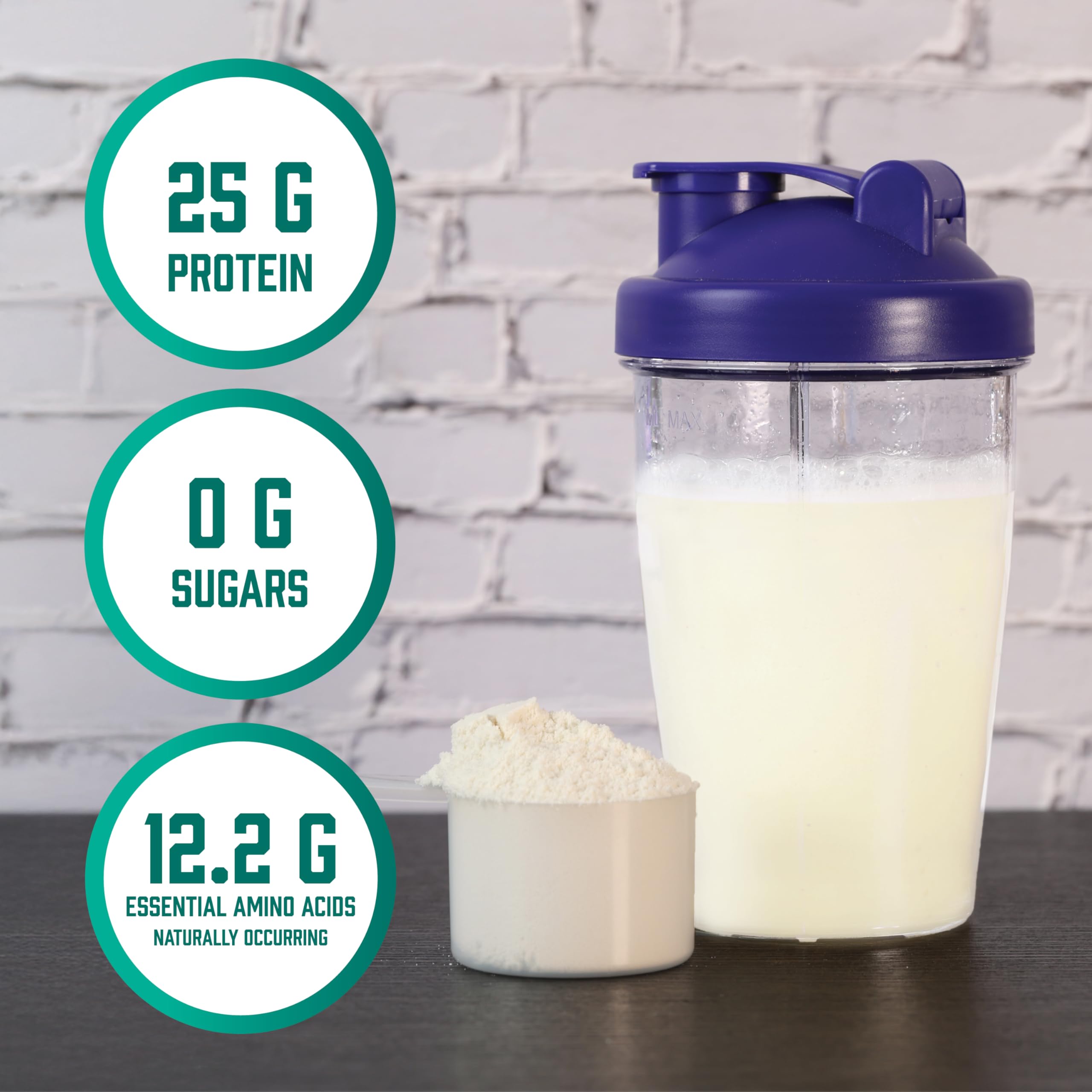 NOW whey protein isolate powder UAE scoop and mixed shake in purple lid shaker with nutrition badges