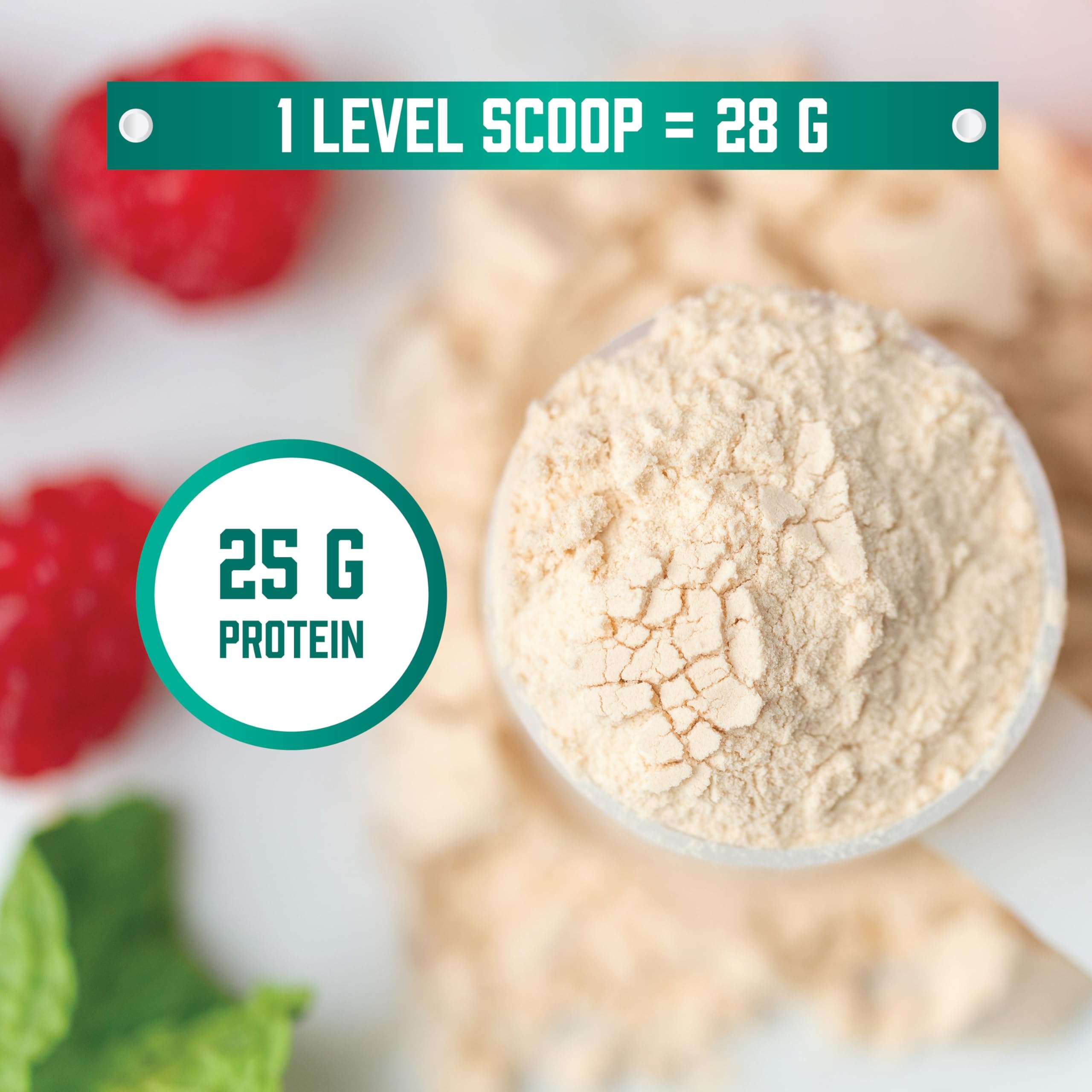 NOW vanilla whey protein isolate powder UAE scoop showing 25g protein per 28g level scoop with raspberries