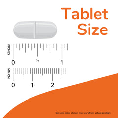 TMG Betaine 1000 mg liver support NOW tablet size image shows white scored pill with inch and cm rulers