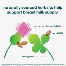 Herb ingredient graphic for Milkflow drink mix: blessed thistle, anise, fenugreek