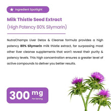 Milk thistle seed extract ingredient panel with 300 mg per serving