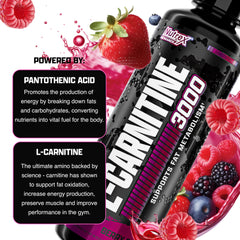 Nutrex Research L Carnitine 3000 bottle with berry splash showing label supports fat metabolism liquid carnitine supplement UAE