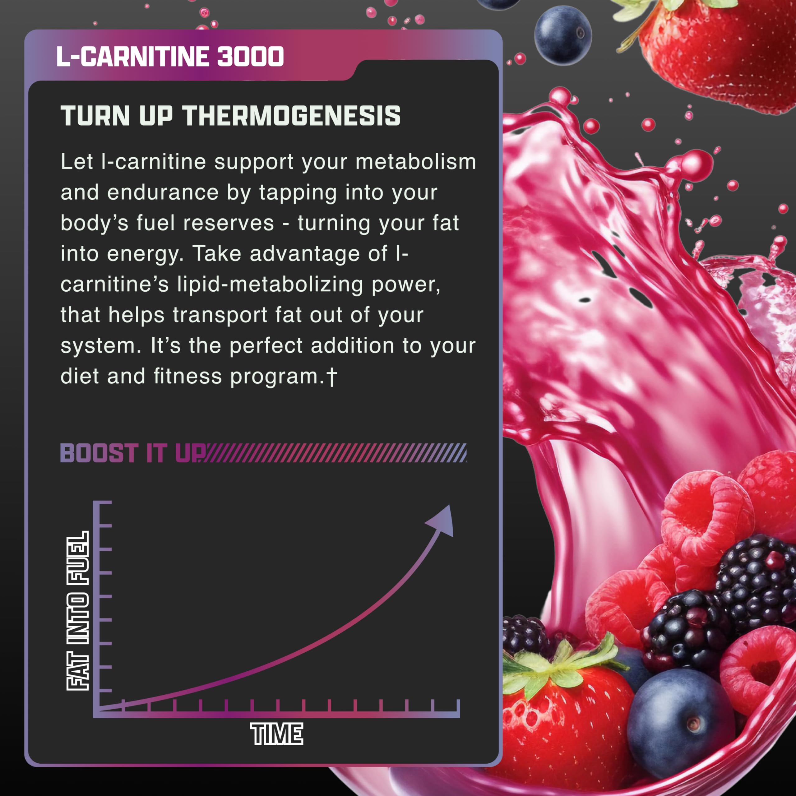 Nutrex L Carnitine 3000 label with berries and pink liquid splash Turn Up Thermogenesis liquid carnitine supplement UAE