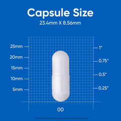 Nutricost ashwagandha supplement 600mg single white capsule on measurement grid showing 23.4mm by 8.56mm size