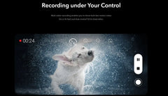HONOR 50 used smartphone screen recording a wet dog shaking off water with recording timer and controls