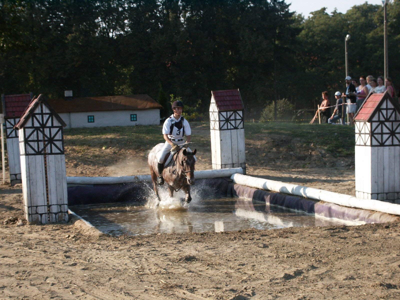Equestrian rider splashing through water obstacle on horseback stock photo for organic MCT oil UAE product listing