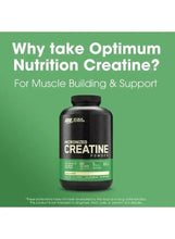 Micronized creatine powder bottle with green label and black cap, 120 servings