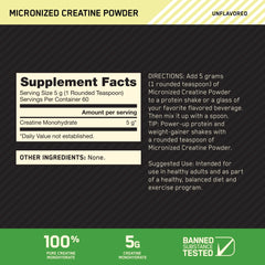 Optimum Nutrition Micronized Creatine Supplement 300g Powder - Mumzar