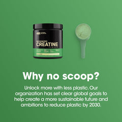 Optimum Nutrition Micronized Creatine Supplement 300g Powder - Mumzar