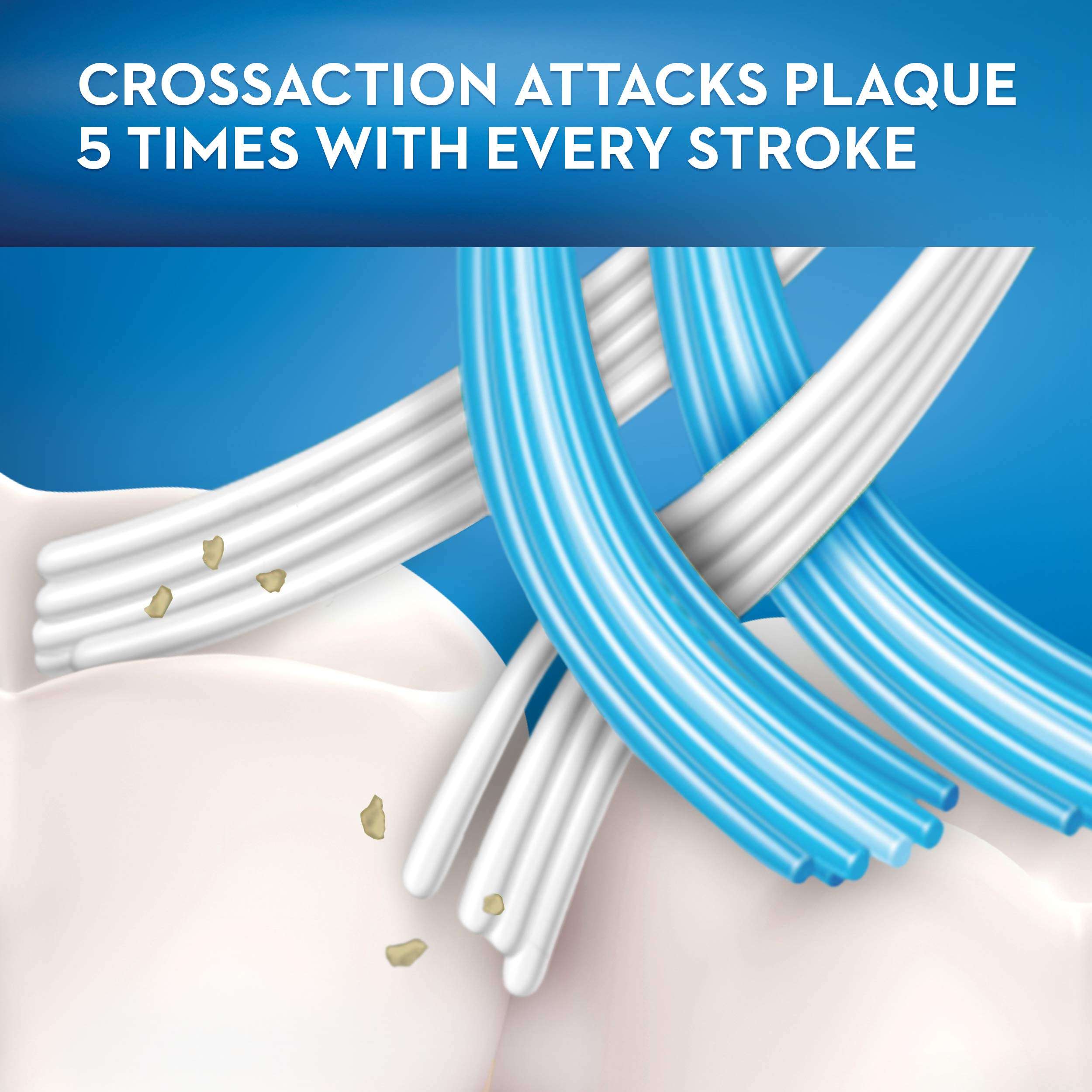 Oral-B 3DWhite Whitening Therapy Toothbrush close up of blue and white crossaction bristles removing plaque from tooth surface