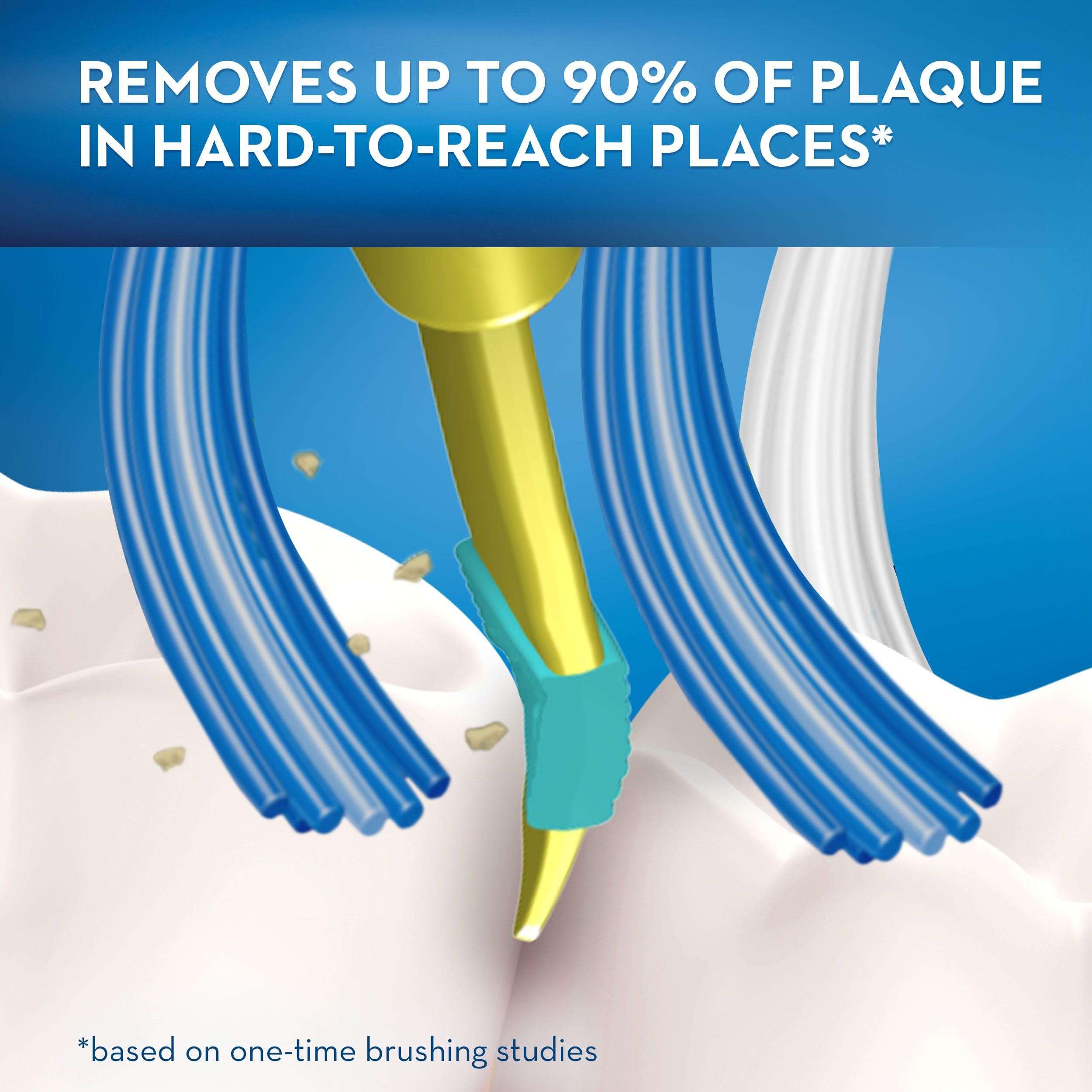 Oral-B ProExport Pulsar toothbrush close up showing blue bristles removing plaque from a tooth in hard to reach areas