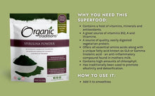 Spirulina powder pouch front with nutrition text panel and green algae scoop illustration
