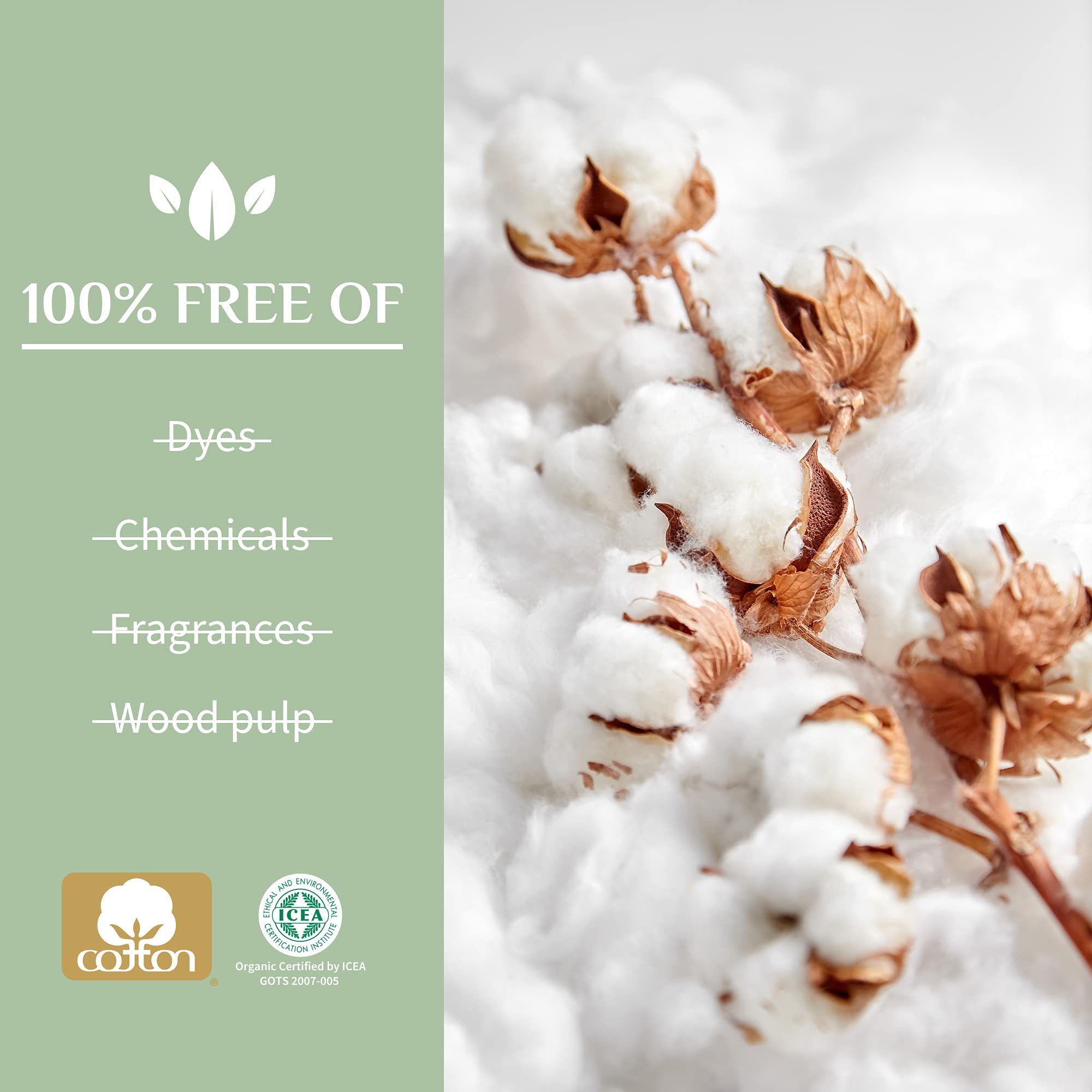 Organyc organic cotton panty liners packaging showing cotton bolls and 100 percent free of dyes chemicals fragrances wood pulp