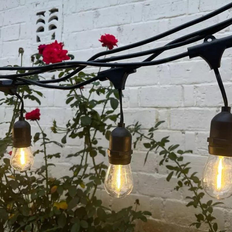 Huitich outdoor waterproof string lights hanging with warm bulbs near red roses and white brick wall