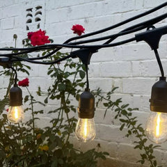 Huitich outdoor waterproof string lights hanging with warm bulbs near red roses and white brick wall