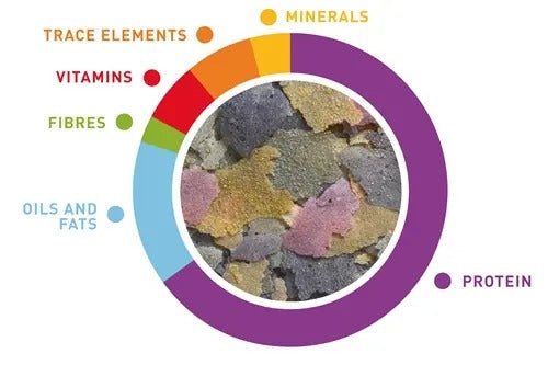 Padovan goldfish food flakes infographic highlighting nutrients like protein, vitamins, and minerals