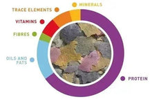 Fish food nutrition chart showing minerals, vitamins, fibres, protein and fats circle
