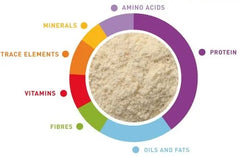 Padovan baby bird food UAE with essential nutrients like protein, vitamins, and minerals for optimal bird health