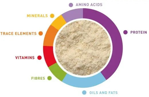Nutritional breakdown of Padovan baby pâtée for parrots showing vitamins, minerals, and proteins