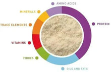 Parrot baby pâtée nutrition chart with protein, amino acids, vitamins and minerals