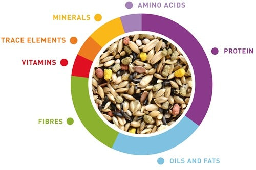 Padovan canary bird food 1kg with vitamins, minerals, proteins, and essential nutrients for healthy birds