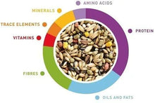 Canary seed mix infographic wheel with proteins, vitamins, minerals, amino acids, fats