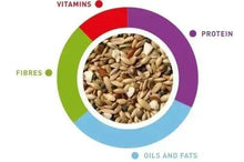 Canary mix nutrition chart with seeds shown in center, fibres, protein, oils and fats