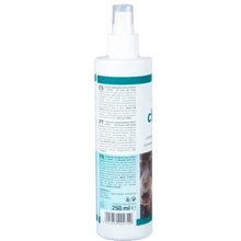 250 ml pet cleansing lotion bottle with spray pump, back label with barcode